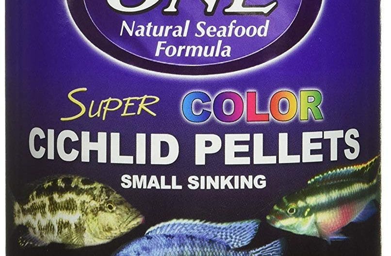 Best Cichlid Food