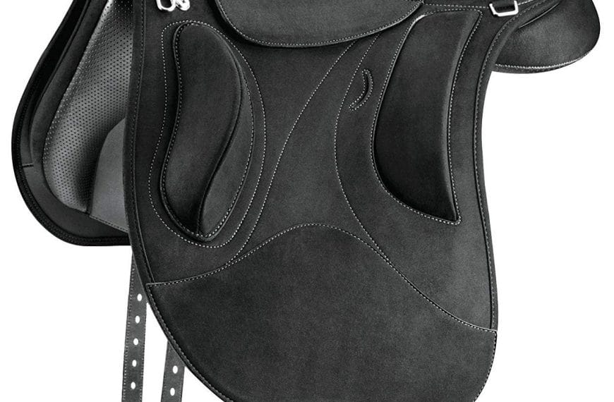Best Endurance Saddle