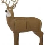 Best 3D Deer Target