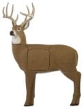 Best 3D Deer Target