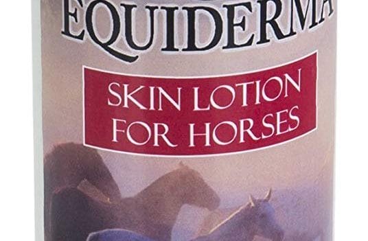 Best Treatment For Rain Rot