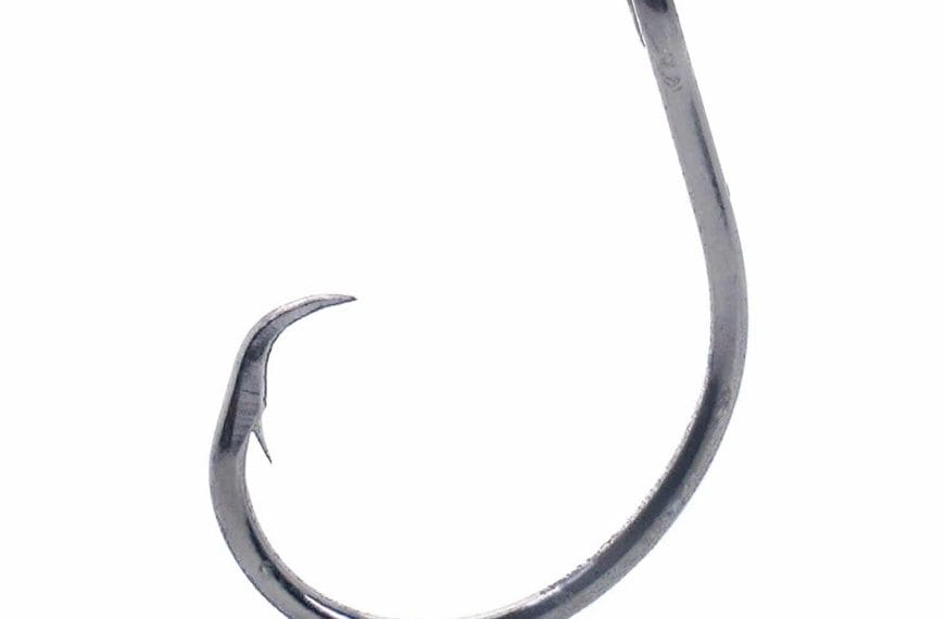 Best Circle Hooks