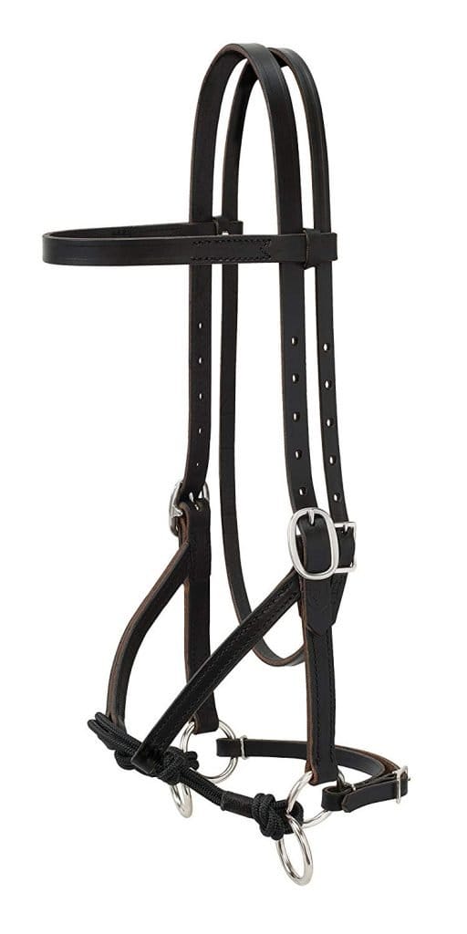Best Bitless Bridle