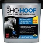 Best Horse Hoof Supplement