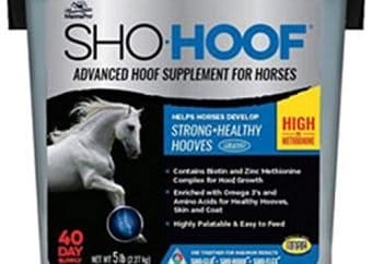 Best Horse Hoof Supplement