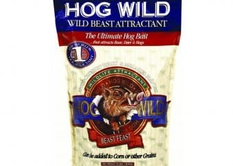 Best Bait For Wild Hogs