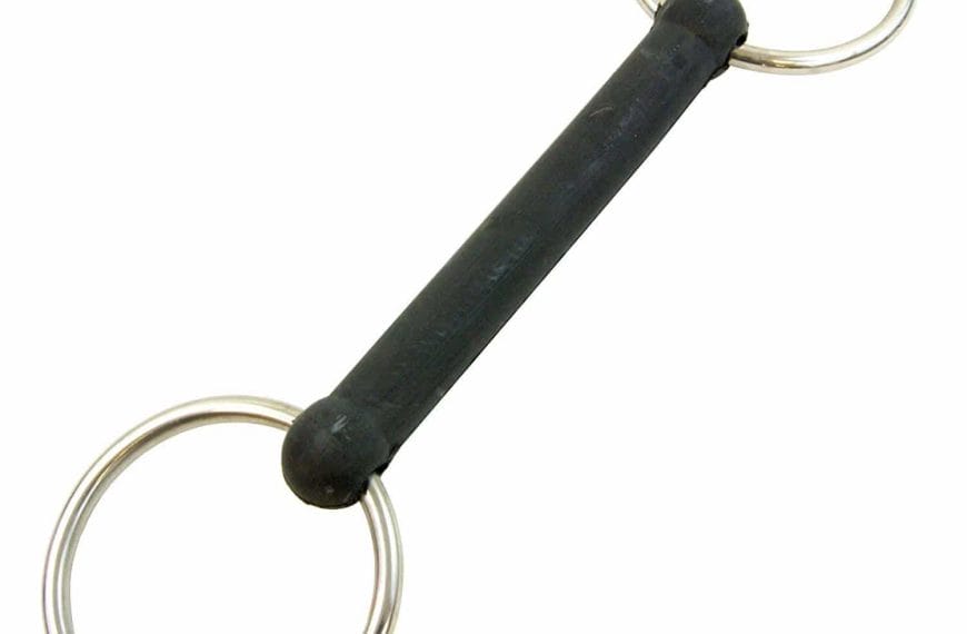 Best Bit For Horse With Sensitive Mouth