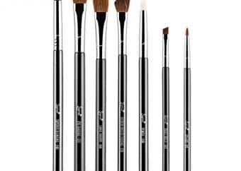 best sigma eye brushes