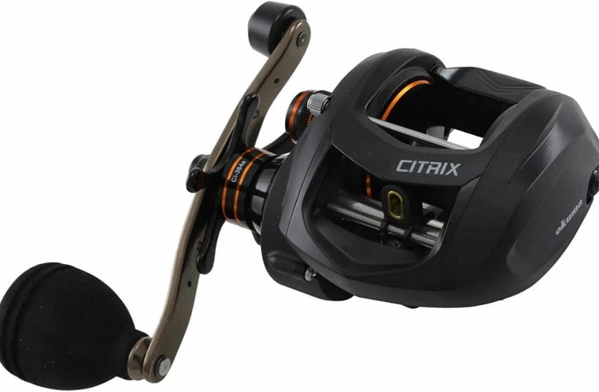 best swimbait reel