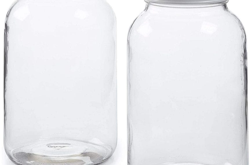 best jar for kombucha