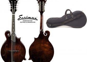 best mandolin under 1000