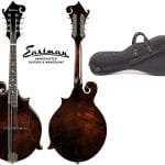 best mandolin under 1000