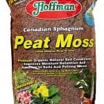 best mulch for tomatoes