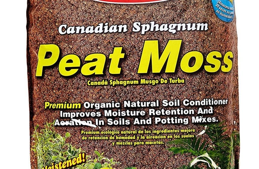 best mulch for tomatoes