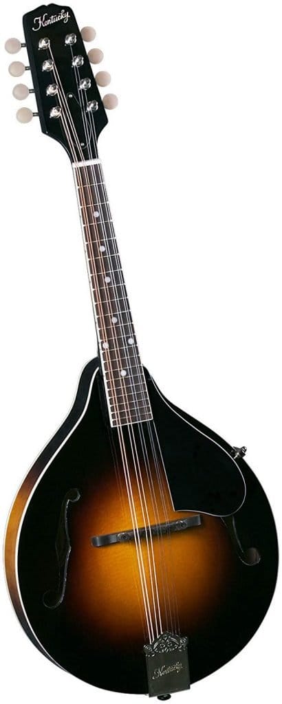best mandolin under 500