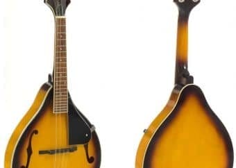 best beginner mandolin