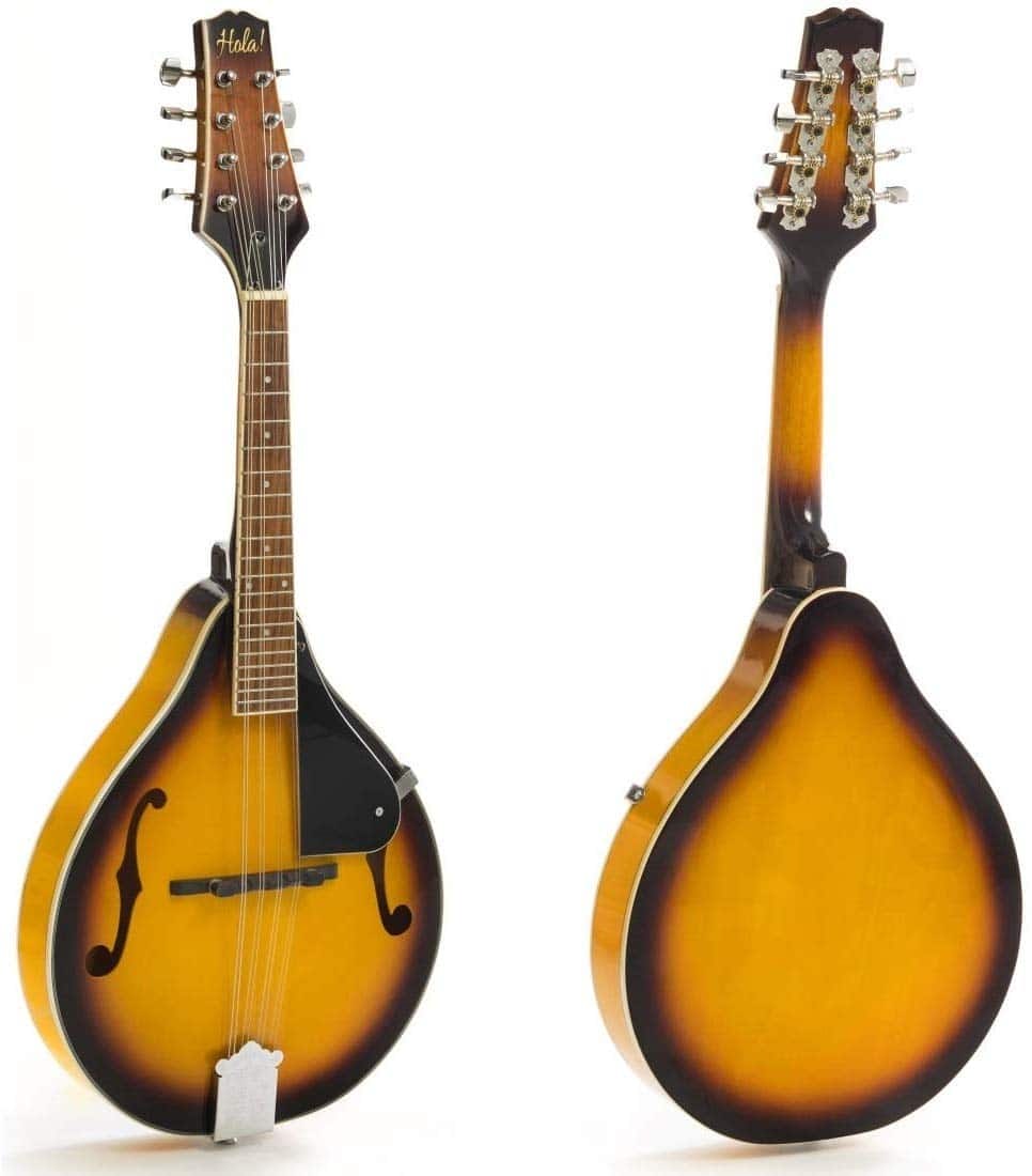 best beginner mandolin