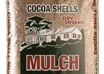 best mulch for weed control