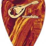 best mandolin picks