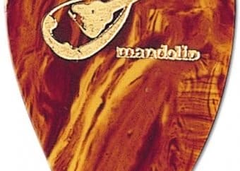 best mandolin picks