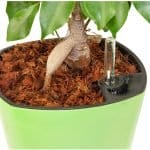 best mulch for flower beds