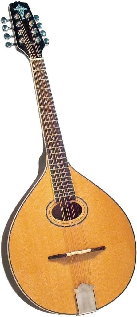 best octave mandolin