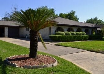 Shreded mulch for landscape