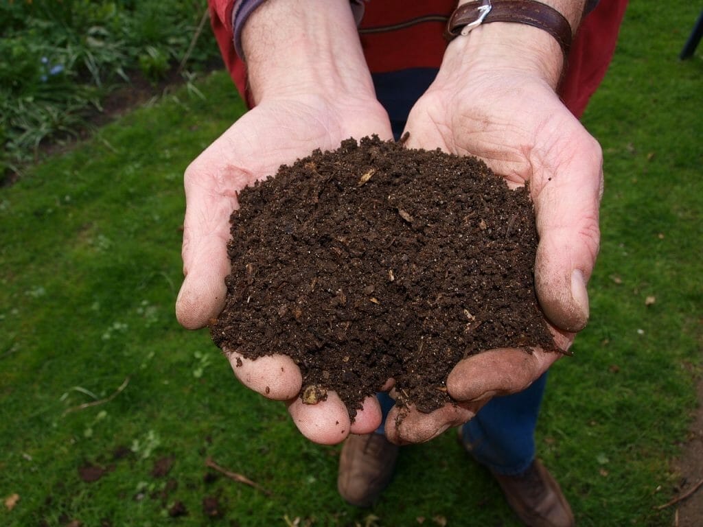 compost mulch
