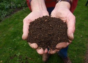 compost mulch