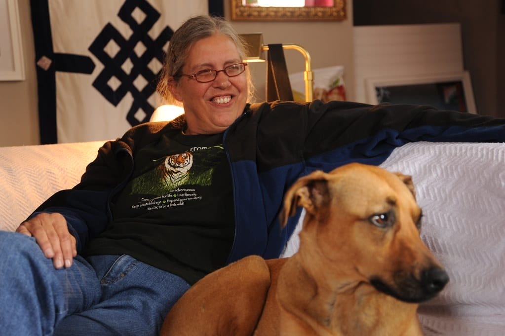 Ultimate Top 5 Quilted Sofa Covers – Furniture Protector For Your Couch