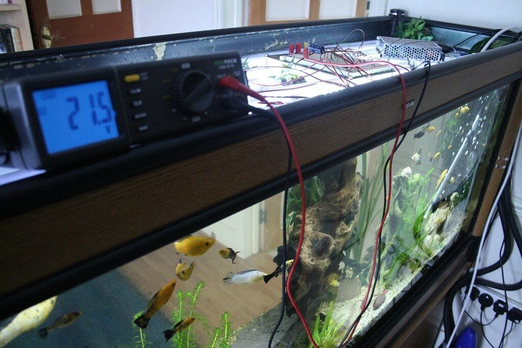 testing some led aquarium lighting