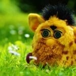 How to choose a Furby Toy