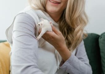 Woman Playing with a Pet Sugar Glider