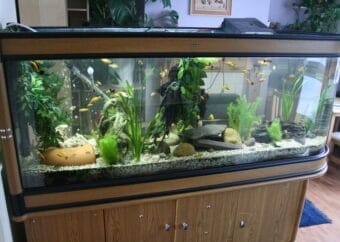 testing some led aquarium lighting