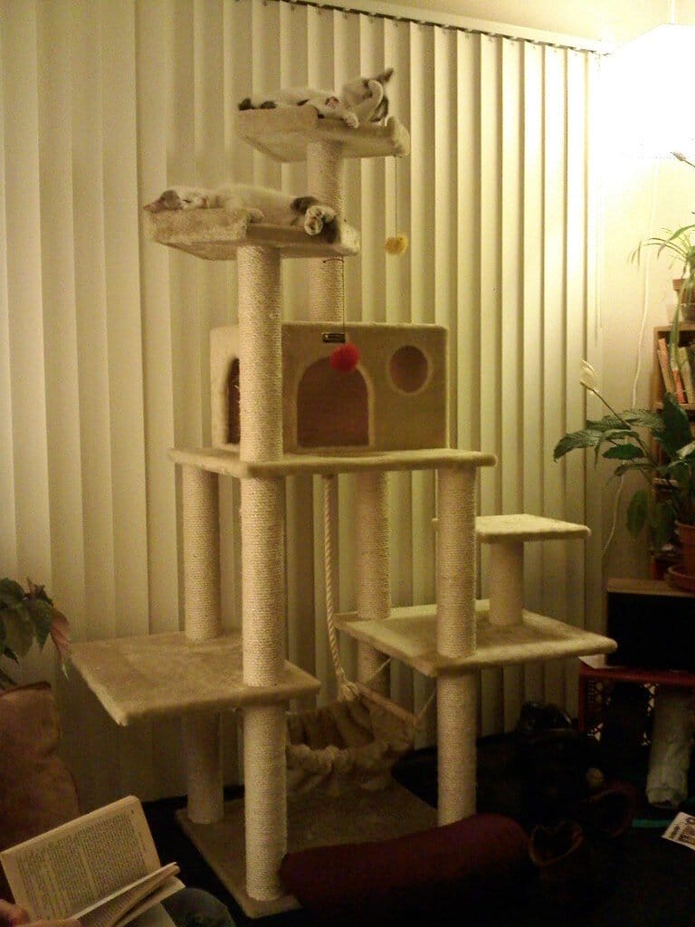 Best! Cat Tree! Ever!