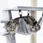 a cat is sleeping in a cat tree