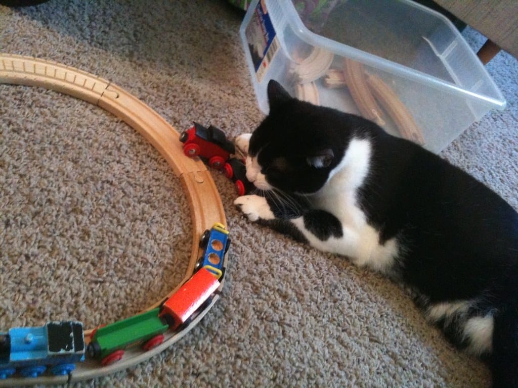 Wooden Train Line