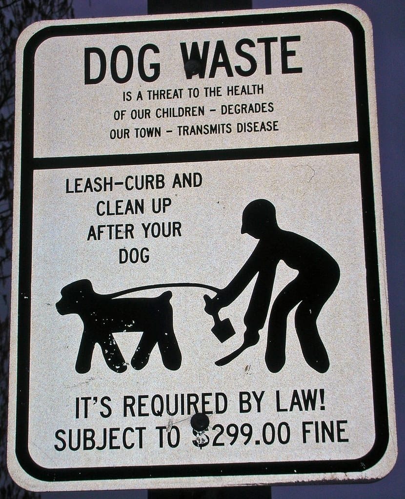 DOg Waste