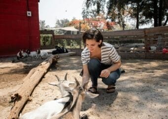 A woman crouches to feed goats in an outdoor petting zoo under a sunny sky.