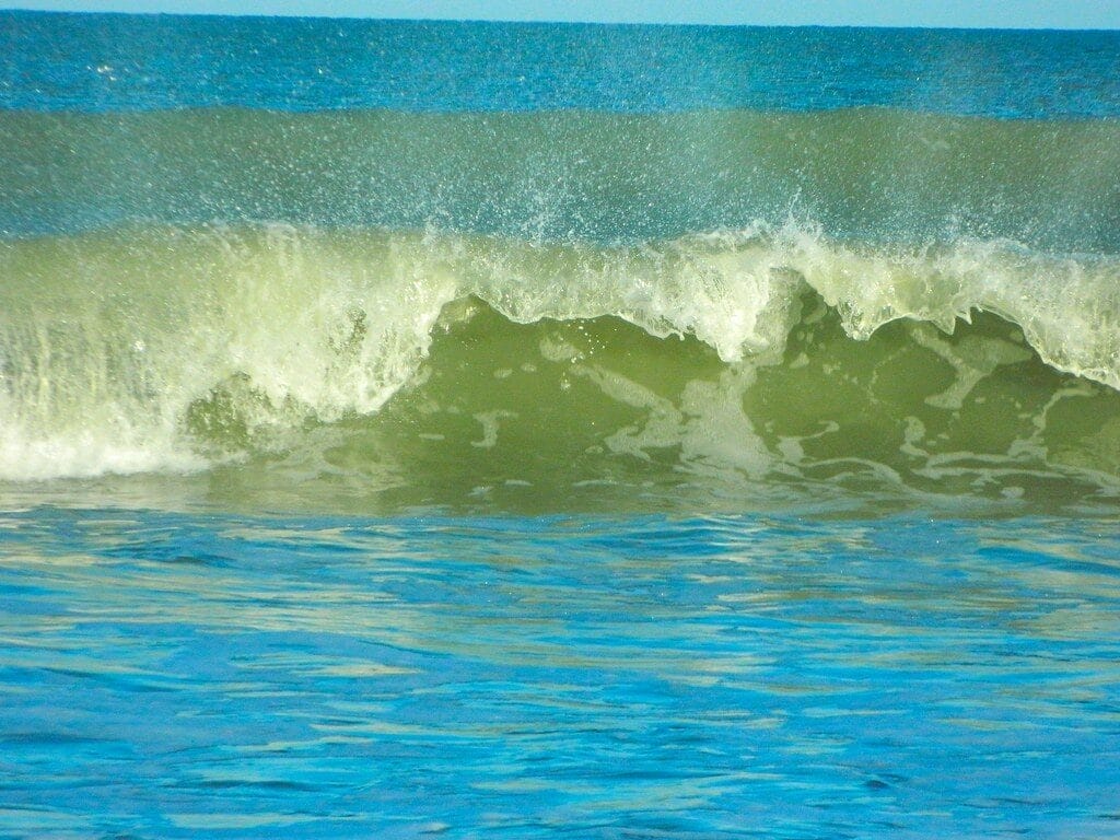 Sea salt wave