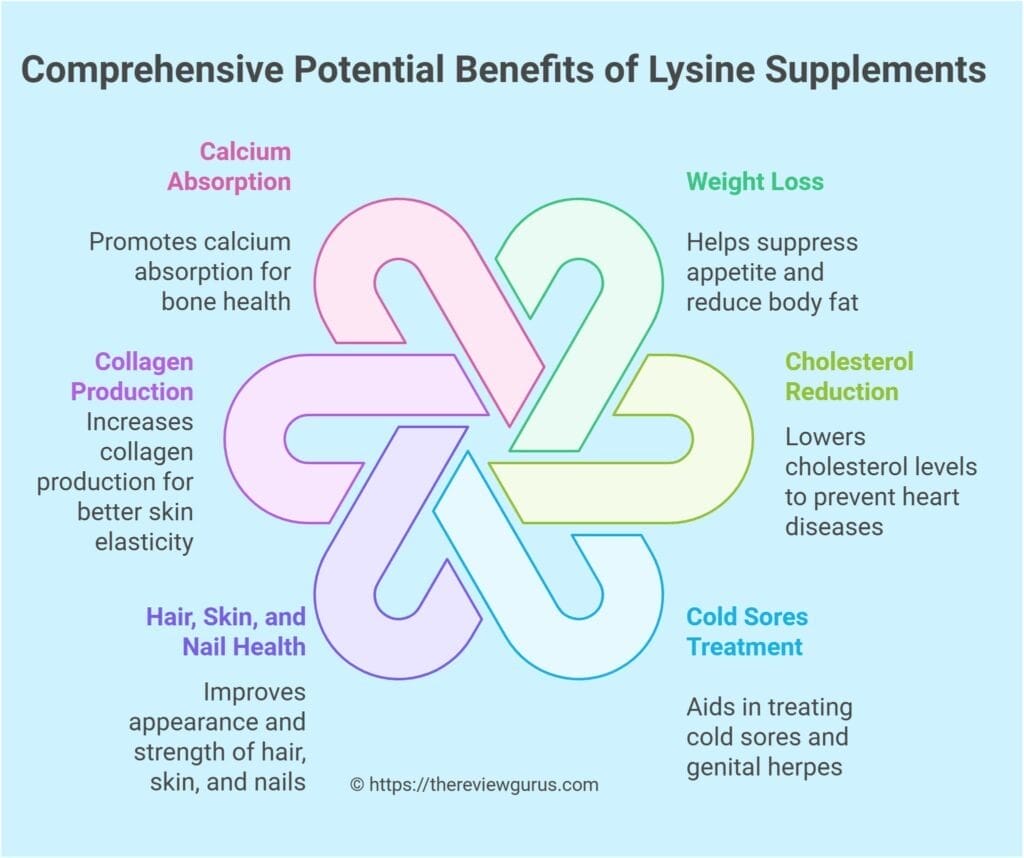 Comprehensive Potential Benefits of Lysine Supplements