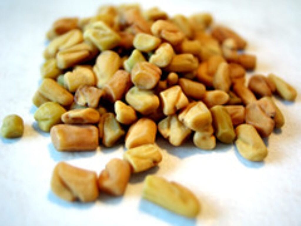 fenugreek