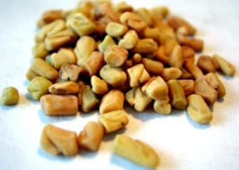 fenugreek