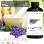 Best Lavender Essential Oil